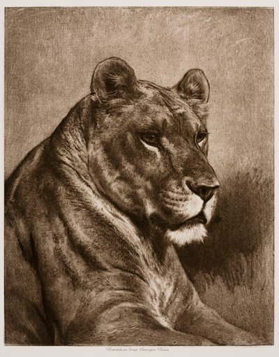 Leona de Rosa Bonheur