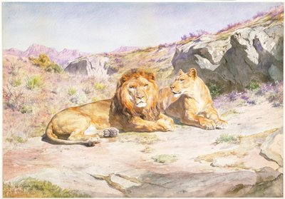 de Rosa Bonheur