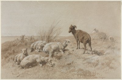 Ovejas de Rosa Bonheur
