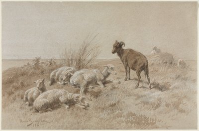 Oveja de Rosa Bonheur