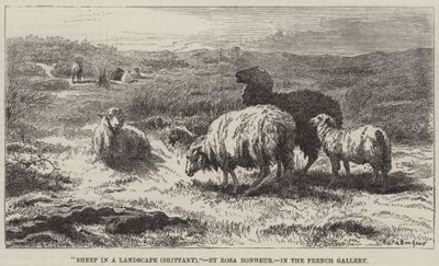 Ovejas en un paisaje, Bretaña de Rosa Bonheur