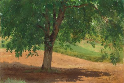 Estudio de luz y sombra de Rosa Bonheur