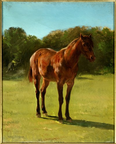 Estudio de caballo bai cereza de Rosa Bonheur