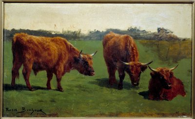 Tres estudios de un buey rojo en un prado. Pintura de Rosa Bonheur (1822-1899) de Rosa Bonheur