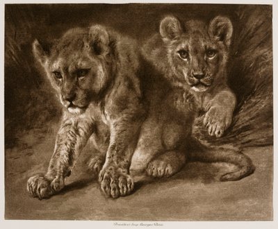  de Rosa Bonheur