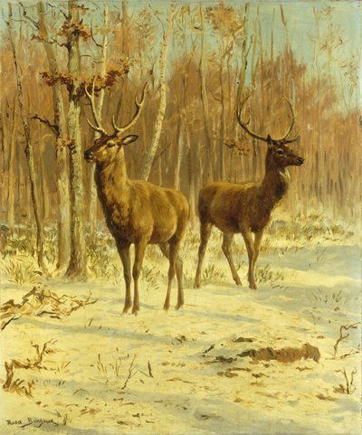 Dos Ciervos en un Claro en Invierno de Rosa Bonheur
