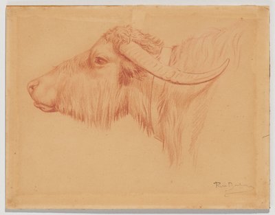  de Rosa Bonheur