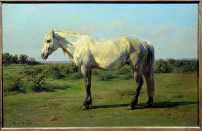Caballo blanco en un prado. Pintura de Rosa Bonheur (1822-1899) de Rosa Bonheur