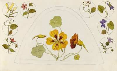 Diseños con capuchinas y otras flores de Rosa Brett