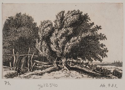 Paisaje de Rosalie Holm