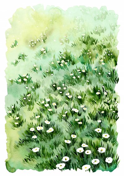Flores de Green Meadow de Rosana Laiz Blursbyai