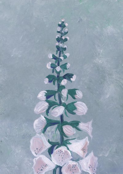 Flor de dedalera blanca de Rosana Laiz Blursbyai