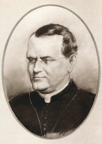 Gregor Johann Mendel, de Biografías vivas de grandes científicos de Ross Gordon