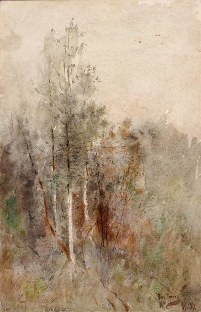 Estudio de un árbol, 1879 de Ross Turner