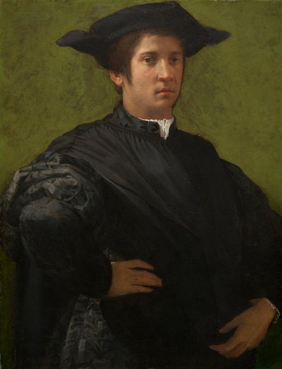 Retrato de un hombre de Rosso Fiorentino
