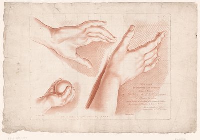 Imagen del título con tres manos. Principios del dibujo de la naturaleza, octava parte (título de la serie) VIIIe Cahier de Principes du Design d