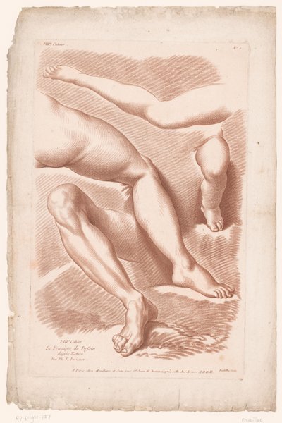 Imagen del título con cuatro patas en diferentes posiciones. Principios del dibujo de la naturaleza, octava parte (título de la serie) VIIIe Cahier de Principes du Design d