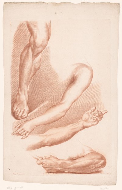 Diferentes vistas de una pierna y brazos. Principios del dibujo de la naturaleza, séptima parte (título de la serie) VIIe Cahier de Principes du Design d