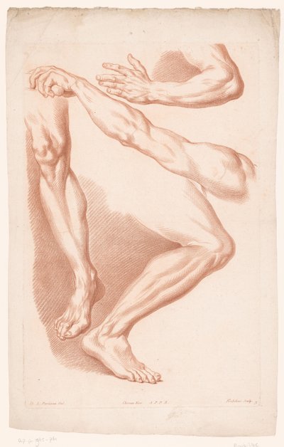 Diferentes vistas de dos piernas y dos brazos
Principios del dibujo del natural, séptima parte (título de la serie)
VIIe Cahier de Principes du Dessin d