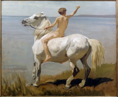 Niño en caballo blanco de Rudolf Koller