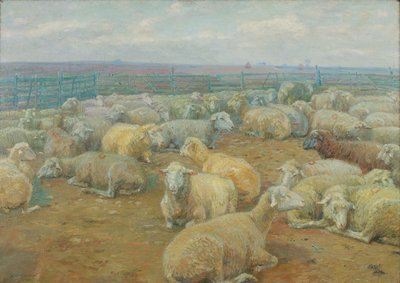 parque de ovejas de Rudolf Konopa