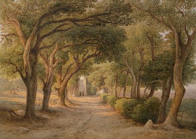 Castel Gandolfo (watercolor on paper) de Rudolf Müller