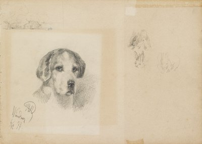 Retrato de un perro: Windsor, 1877 de Rudolf Wimmer