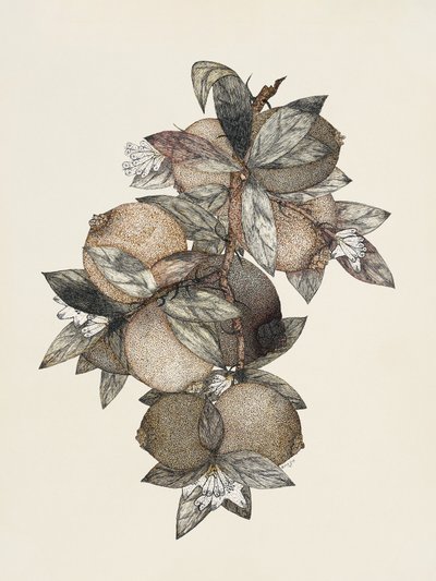  de Rufus King