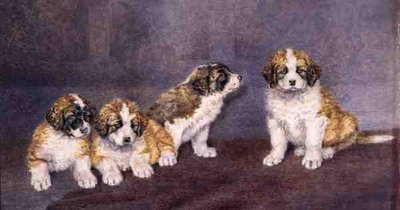 Cachorros en Consejo de Rupert Arthur Dent