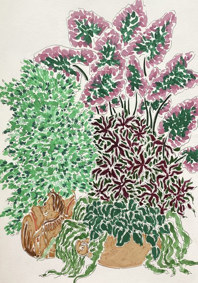 Plantas en maceta llenas de color de Rushati Chowdhury