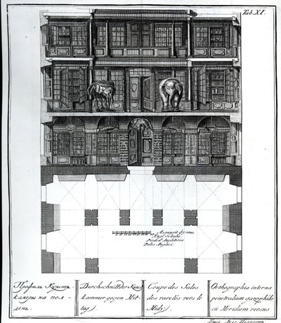 Vista en sección del Salón de Rarezas hacia el sur, ilustración en Cámaras de la Biblioteca y Galería de la Academia Imperial de Ciencias de San Petersburgo de Russian School