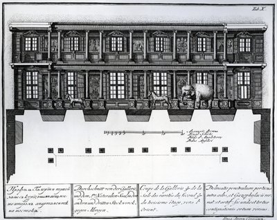Vista en sección del segundo y tercer piso del Salón de Rarezas mirando hacia el este, ilustración en Cámaras de la Biblioteca y Galería de la Academia Imperial de Ciencias de San Petersburgo de Russian School