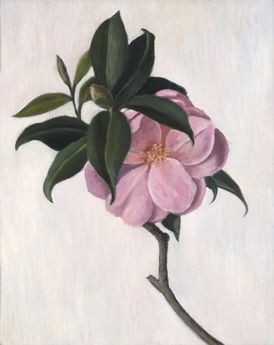 Camellia, 1998 de Ruth Addinall