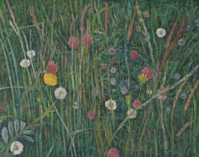 Plantas del Machair, 2008 de Ruth Addinall
