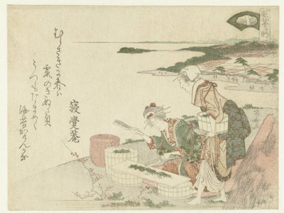 Concha de fulling block de Ryuryukyo Shinsai