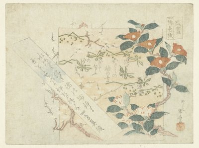 Hojas de Poesía de Ryuryukyo Shinsai