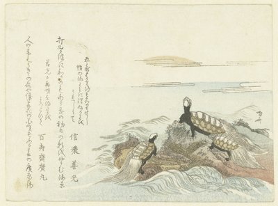 tortugas en una roca de Ryuryukyo Shinsai