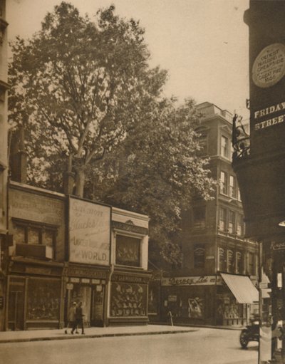 Un Inquilino Favorecido de la Ciudad: El Plátano en Cheapside, c. 1935 de SO Gorse