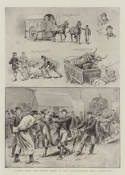Escenas del Show de Ganado en el Agricultural Hall, Islington de S.T. Dadd