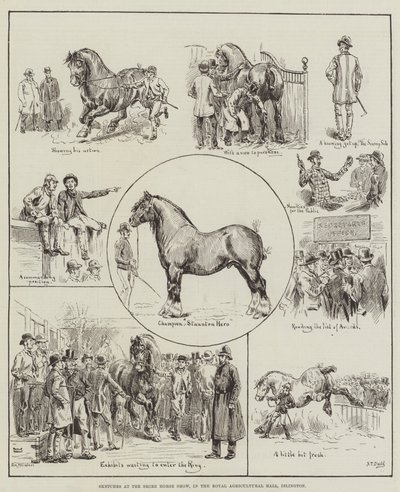 Bocetos en la Exposición de Caballos Shire, en el Royal Agricultural Hall, Islington de S.T. Dadd