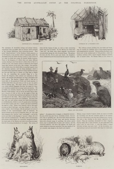 El Tribunal de Australia del Sur en la Exposición Colonial de S.T. Dadd