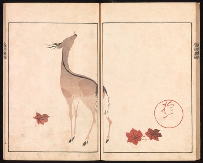  de Sakai Hoitsu