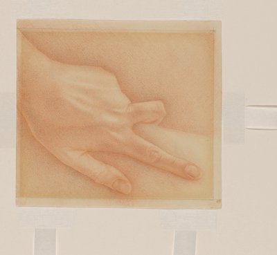 Mano de Sally Lohr
