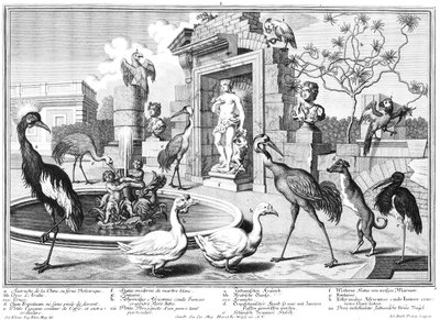 grullas y patos de Salomon Kleiner