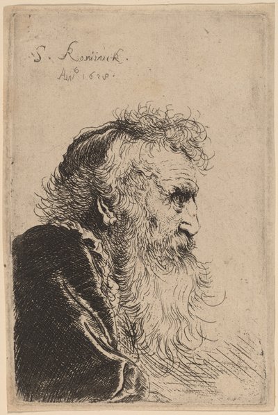 Busto de un anciano de perfil, mirando a la derecha de Salomon Koninck