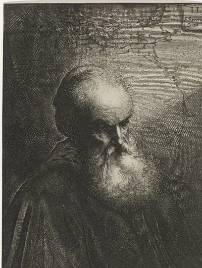 Retrato de un anciano con barba de Salomon Savery
