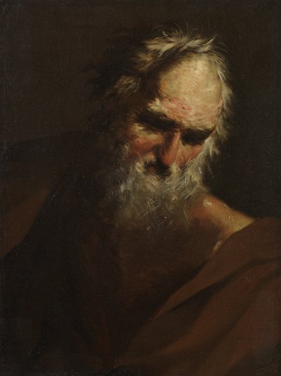 Cabeza de un hombre barbudo, c.1640-80 de Salvator Rosa