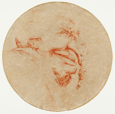 Sin título (Caricatura) de Salvator Rosa