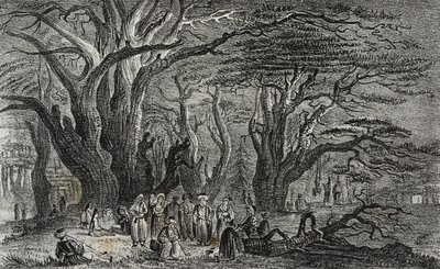 Viejos cedros del Líbano en Tiro, Líbano, litografía de Salvatore Puglia de Poliorama Pittoresco, n 25, 28 de enero de Salvatore Puglia