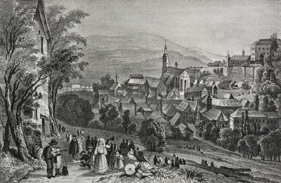 Vista de Baden, Suiza, litografía de Salvatore Puglia del Poliorama Pittoresco, n 29, 26 de febrero de Salvatore Puglia